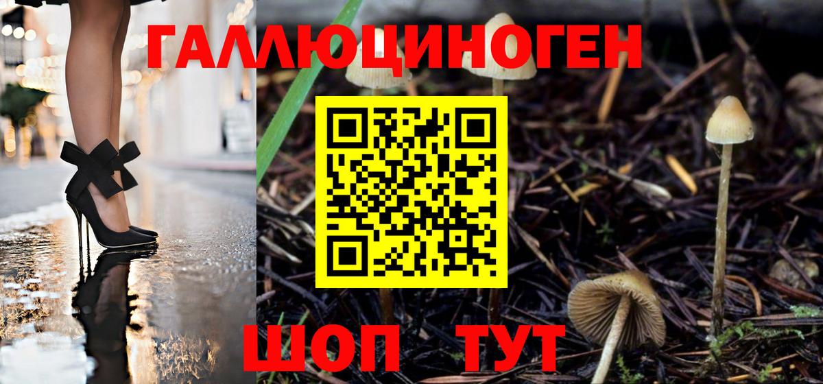 как найти   Вход с VPN  Калач-на-Дону  Галлюциногенные грибы ЛСД 